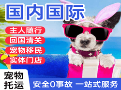 昆明航空快运国际宠物托运 【国